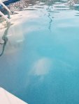 20180612_200610.jpg