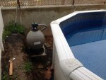 IMG_6793.jpg IMG_6793.jpg