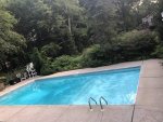 Pool post AA treatment.jpg