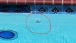 whatsthis-2.jpg whatsthis-2.jpg