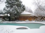 snowy pool.jpg