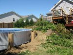 Pool Construction 2010 - 039.jpg