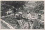 Olden Times - kneipppool.jpg