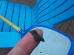 20180913_191327.jpg