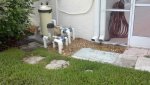 2013-07-26_10-14-22_186.jpg