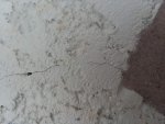 20181208_115841.jpg 20181208_115841.jpg