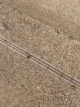 IMG_0373.jpeg