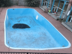 pool_mostly_cleaned.PNG