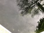 IMG_0358.jpg IMG_0358.jpg