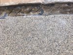 IMG_3540.JPG IMG_3540.JPG