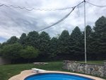 Bird Net.JPG