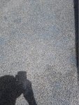 pool 1.JPG