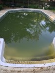 60F17723-E817-4FF7-9955-9DDF09C590D0.jpeg