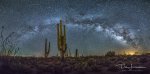 Milky Way Saguaro-2.jpg