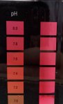 D27C3B86-EACA-4A70-AB9C-975CBC6436F5.jpeg