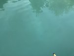 105157 105157