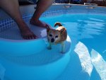 20180528_174123.jpg