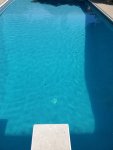 pool 7.13.19.jpg