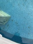 Brown Dust on Bottom of Pool