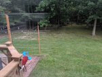 IMG_20190817_0724162.jpg IMG_20190817_0724162.jpg