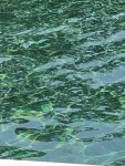 Pool Water.jpg