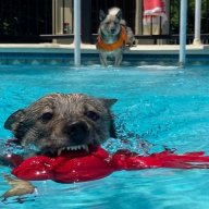 Pool Water Chemical Calculator Apps Android Ios