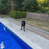 my_pool_is_wet