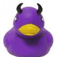 purple_duckk