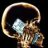 XRAYTIM