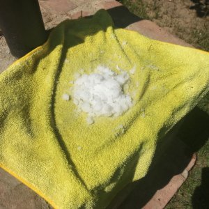 Oly's issues