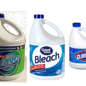 Bleach Post.jpg