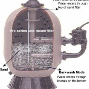 Sand Filter (Hayward Pro-Series Internals).jpg