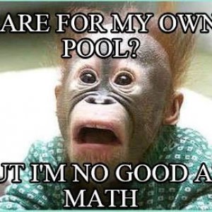 Care for Pool, But Not Good at Math.JPG