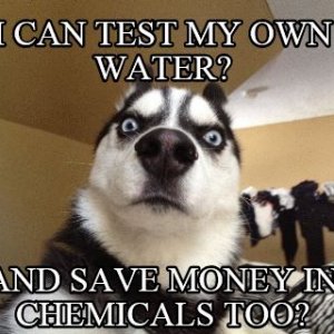 Husky Test My Own Water.JPG