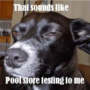 Pool Store Advice (Dog Doesn't Trust).JPG