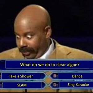 Be a Millionaire  (SNL - Clear Algae).jpg