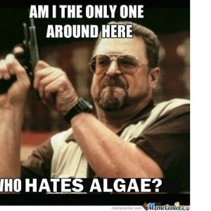 Only One Who Hates Algae (Goodman).jpg