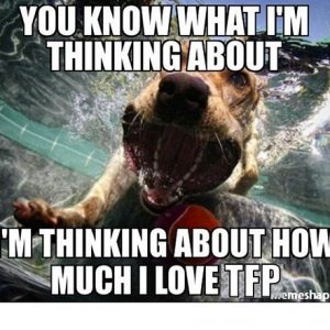 Thinking How I Love TFP (Dog).jpg