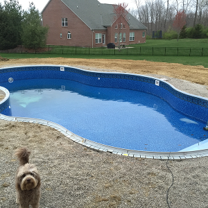 Pool_after_install.png