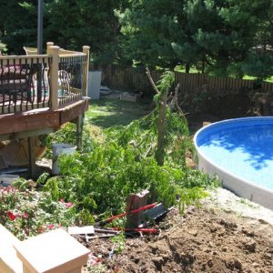 Pool Construction 2010 - 037.jpg
