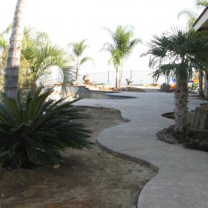 Yard1 (Large).JPG