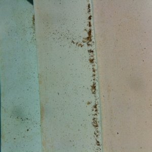 photo-3.JPG