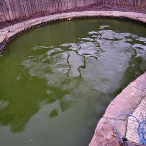 Green Pool.jpg