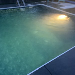 D0FE2397-9549-412B-8C30-D3742E091532.jpeg