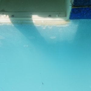 2020-05-05 12.06.56.jpg