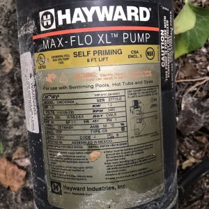 IMG_1216.JPEG