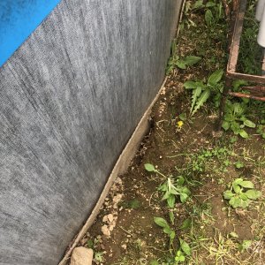 IMG_3084.jpeg
