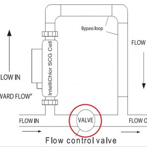 Pentair SWG loop with valve.JPG