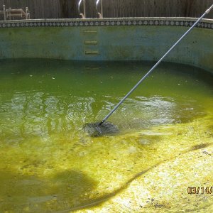 Pool Swamp Half Drained.jpg