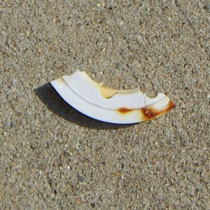 Broken Piece Back.jpg